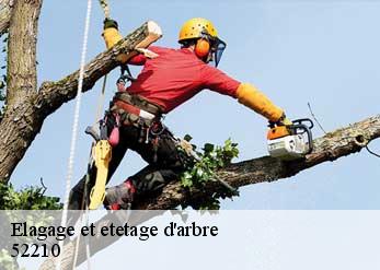 Elagage et etetage d'arbre  52210