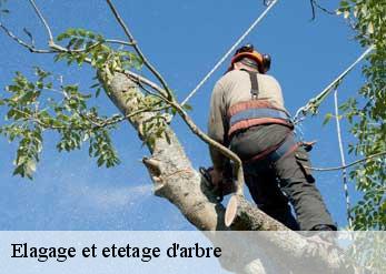 Elagage et etetage d'arbre