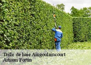 Taille de haie  aingoulaincourt-52230 Artisan Fortin