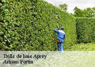 Taille de haie  aprey-52250 Artisan Fortin