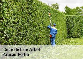 Taille de haie  arbot-52160 Artisan Fortin