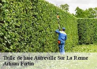 Taille de haie  autreville-sur-la-renne-52120 Artisan Fortin