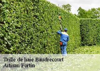 Taille de haie  baudrecourt-52110 Artisan Fortin