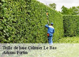 Taille de haie  colmier-le-bas-52160 Artisan Fortin