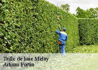 Taille de haie  melay-52400 Artisan Fortin