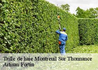 Taille de haie  montreuil-sur-thonnance-52230 Artisan Fortin