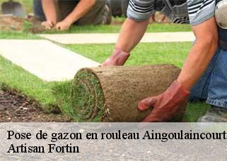 Pose de gazon en rouleau  aingoulaincourt-52230 Artisan Fortin