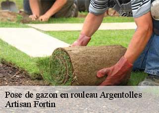 Pose de gazon en rouleau  argentolles-52330 Artisan Fortin