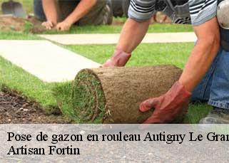 Pose de gazon en rouleau  autigny-le-grand-52300 Artisan Fortin