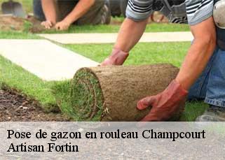 Pose de gazon en rouleau  champcourt-52330 Artisan Fortin