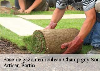 Pose de gazon en rouleau  champigny-sous-varennes-52400 Artisan Fortin