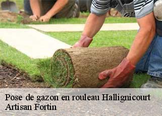 Pose de gazon en rouleau  hallignicourt-52100 Artisan Fortin