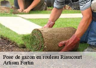 Pose de gazon en rouleau  riaucourt-52000 Artisan Fortin