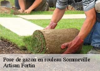 Pose de gazon en rouleau  sommeville-52170 Artisan Fortin