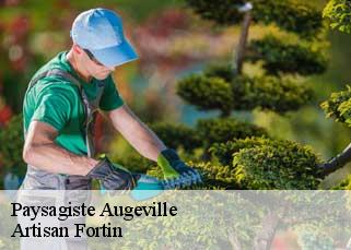 Paysagiste  augeville-52270 Artisan Fortin