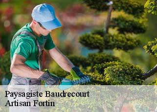 Paysagiste  baudrecourt-52110 Artisan Fortin