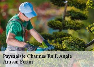 Paysagiste  charmes-en-l-angle-52110 Artisan Fortin