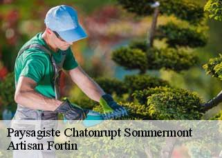 Paysagiste  chatonrupt-sommermont-52300 Artisan Fortin