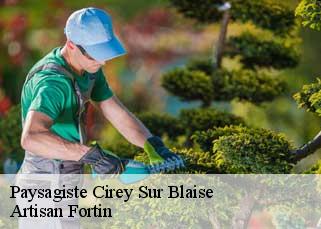 Paysagiste  cirey-sur-blaise-52110 Artisan Fortin