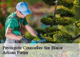 Paysagiste  courcelles-sur-blaise-52110 Artisan Fortin