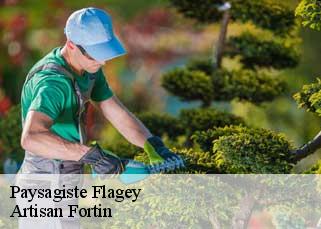 Paysagiste  flagey-52250 Artisan Fortin