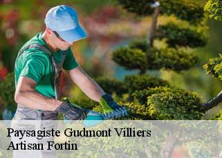 Paysagiste  gudmont-villiers-52320 Artisan Fortin