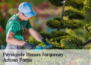 Paysagiste  humes-jorquenay-52200 Artisan Fortin