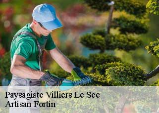 Paysagiste  villiers-le-sec-52000 Artisan Fortin