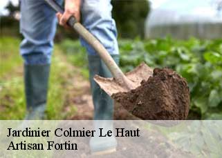 Jardinier  colmier-le-haut-52160 Artisan Fortin