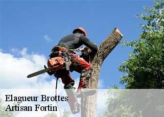 Elagueur  brottes-52000 Artisan Fortin