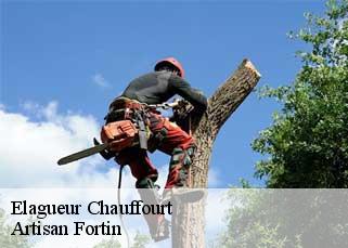 Elagueur  chauffourt-52140 Artisan Fortin