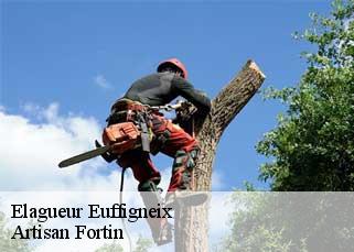 Elagueur  euffigneix-52000 Artisan Fortin