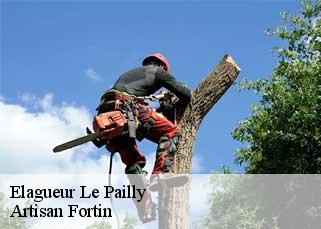 Elagueur  le-pailly-52600 Artisan Fortin