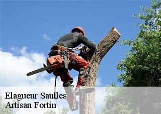 Elagueur  saulles-52500 Artisan Fortin