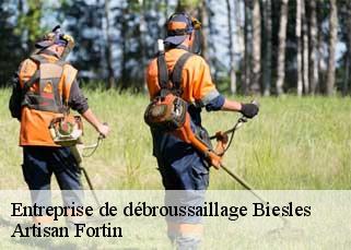 Entreprise de débroussaillage  biesles-52340 Artisan Fortin