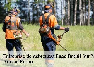 Entreprise de débroussaillage  breuil-sur-marne-52170 Artisan Fortin