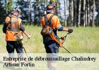 Entreprise de débroussaillage  chalindrey-52600 Artisan Fortin