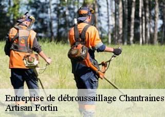 Entreprise de débroussaillage  chantraines-52700 Artisan Fortin