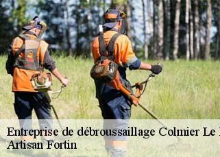 Entreprise de débroussaillage  colmier-le-haut-52160 Artisan Fortin