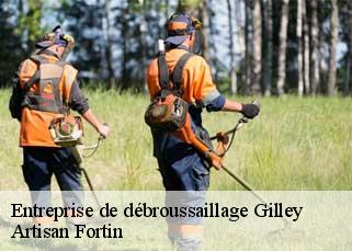 Entreprise de débroussaillage  gilley-52500 Artisan Fortin