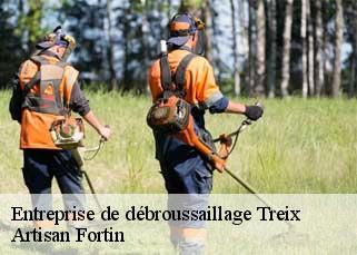 Entreprise de débroussaillage  treix-52000 Artisan Fortin