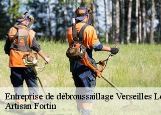 Entreprise de débroussaillage  verseilles-le-bas-52250 Artisan Fortin