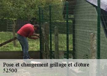 Pose et changement grillage et cloture  52500